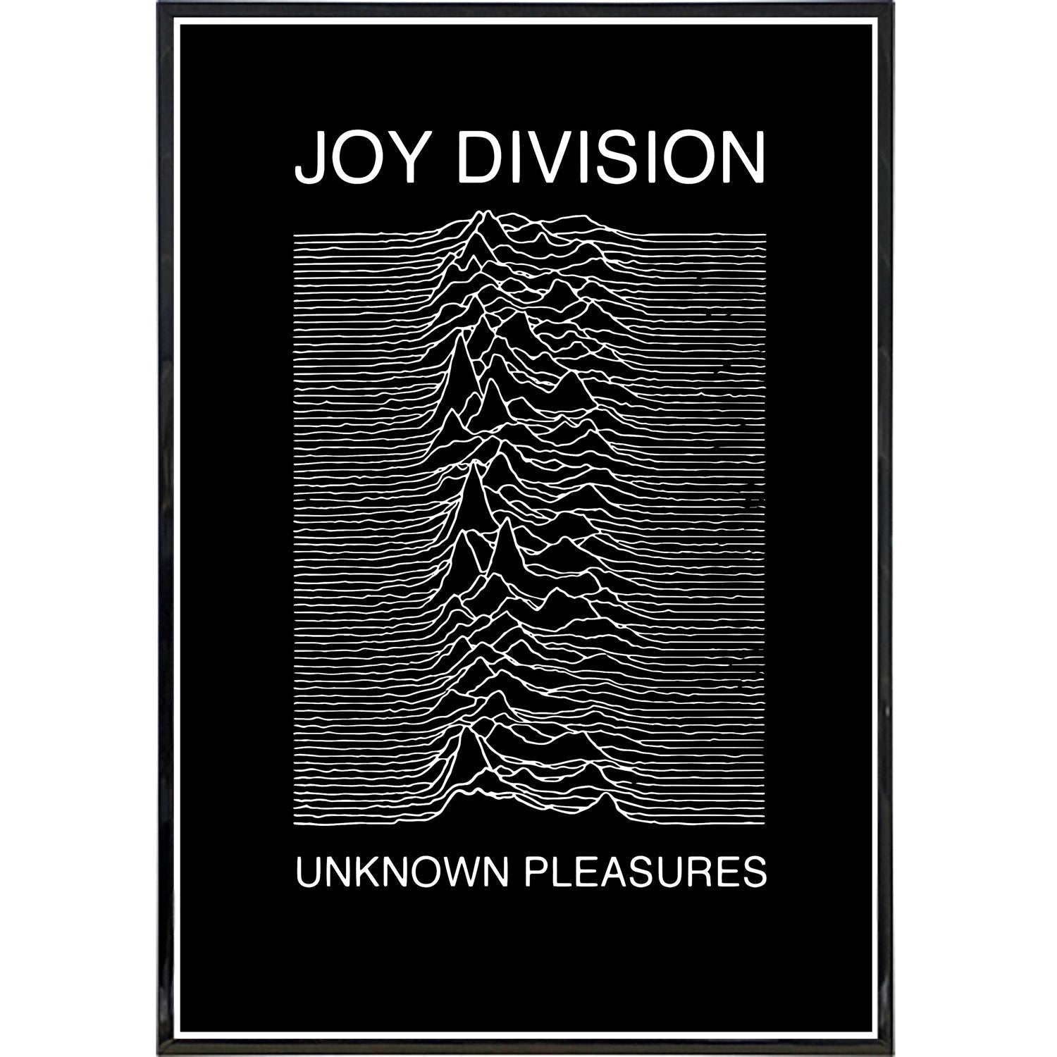 Joy Division Show Poster Print